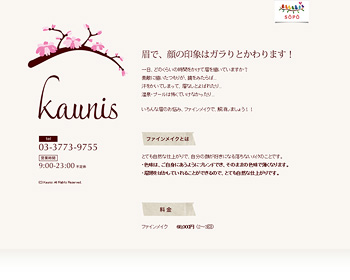 ファインメイクkaunis様